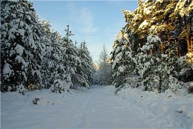 育碧称《刺客信条：影》或将成为系列最佳 开启新时代